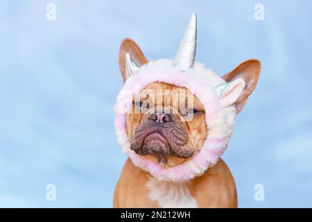 Grumpy French Bulldog dog dressed up with unicorn wearing headband Stock Photo
