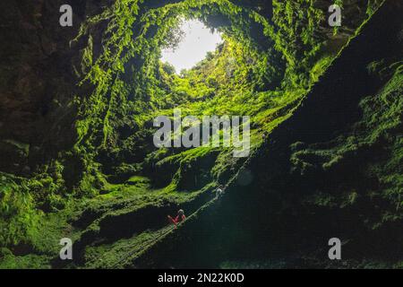 View looking up inside the Algar do Carvão a vertical lava tube dropping 300 feet from the surface accessible by a narrow staircase to a clear water pool at the bottom in the central mountains, Terceira Island, Azores, Portugal. Stock Photo