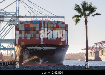 Container ship MSC Aries shown docked at APM Terminals in the Port of Los Angeles. Stock Photo
