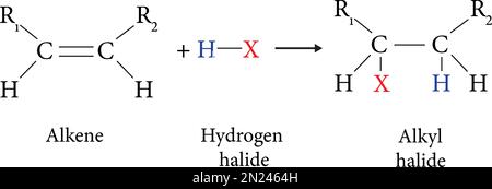 Electrophilic Addition reaction vector image Stock Vector