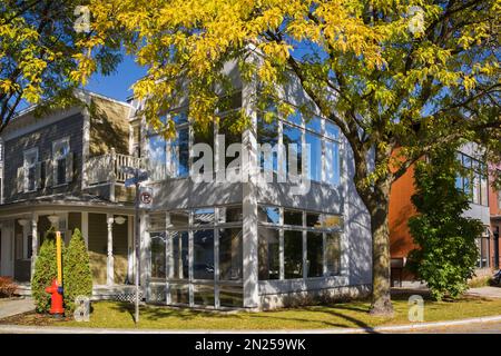 Grey modern 2 apartment unit building renovated from an old home framed by Gleditsia triacanthos 'Skyline' - Honeylocust tree in autumn. Stock Photo