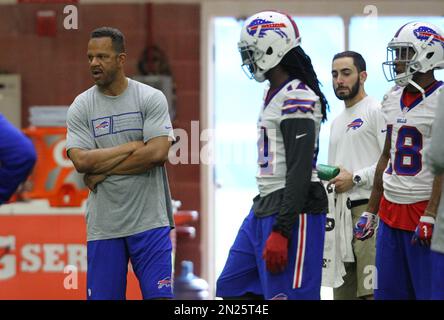 Andre Reed Buffalo Bills Unsigned Touchdown Reception Photograph