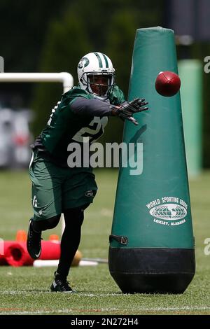 New York Jets' Jordan Whitehead, left and Jermaine Johnson celebrate a  turnover during an NFL football game against the Pittsburgh Steelers at  Acrisure Stadium, Sunday, Oct. 2, 2022 in Pittsburgh, Penn. (Winslow