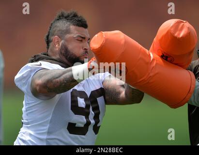 Cleveland Browns defensive lineman Billy Winn celebrates after the Browns  won 20-14 in an NFL football game against the Pittsburgh Steelers Sunday,  Nov. 25, 2012, in Cleveland. (AP Photo/Tony Dejak Stock Photo - Alamy