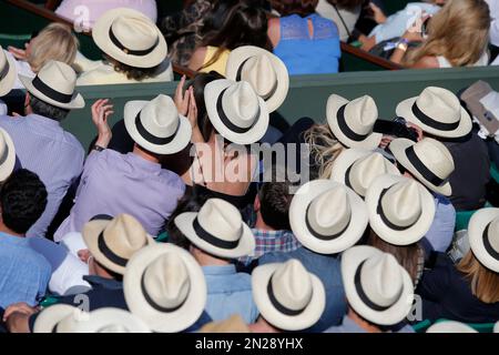 French open hot sale straw hats