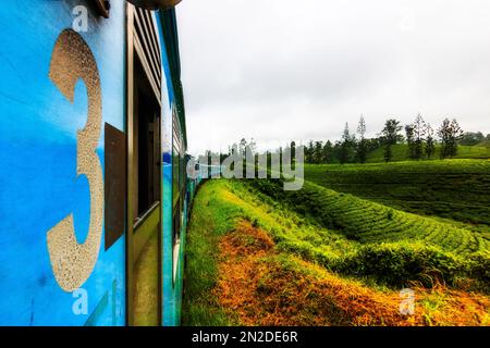 Train ride with the blue train, from Kandy to Ella, highlands and the tea plantations of Sri Lanka, Sri Lanka Stock Photo