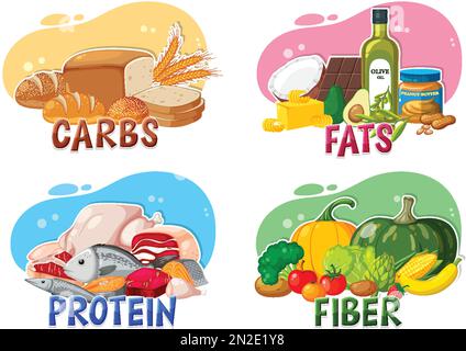 The four main food groups illustration Stock Vector Image & Art - Alamy