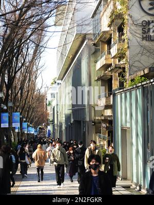 The fashionable Omotesandō Avenue lined with stylish designer shops and hip cafes. Tokyo, Japan. Stock Photo