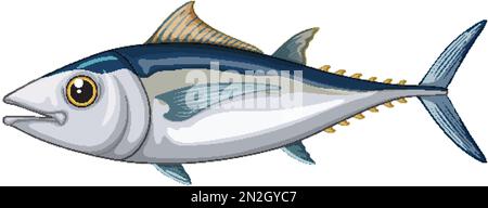 Albacore Tuna on white background illustration Stock Vector