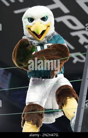 2023 Super Bowl: Meet Swoop, the Philadelphia Eagles mascot - AS USA