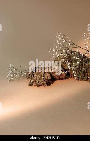 eco composition nature showcase wood bark flowers Stock Photo