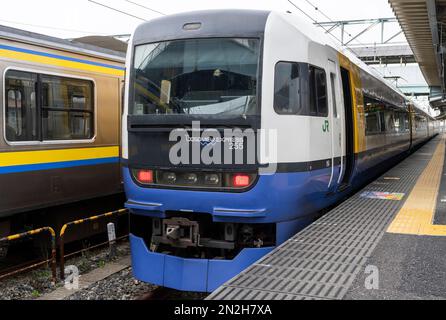 A JR East 255 Series Boso View Express train in Shiosai