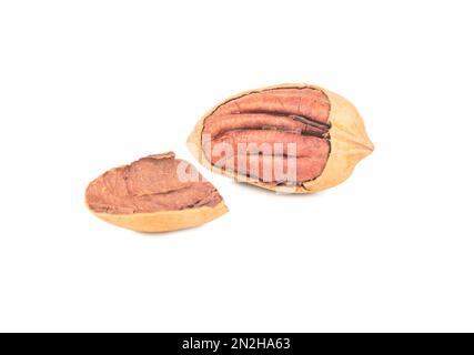 Pecan nut with broken shell isolated on white background Stock Photo