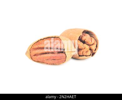 Two dry pecans in cracked shells on a white background Stock Photo