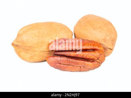 Two shelled nuts with half a pecan isolated on white background. Stock Photo