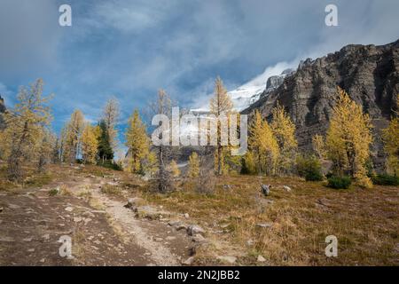 The Valley of Ten Peaks track in autumn, Banff national Park. Canada. Stock Photo