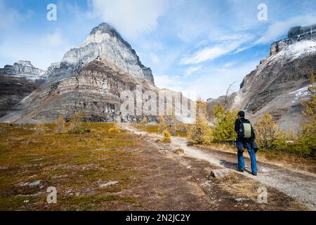 Hiking the Valley of Ten Peaks track in autumn, Banff national Park. Canada. Stock Photo