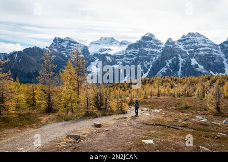 Hiking the Valley of Ten Peaks track in autumn, Banff national Park. Canada. Stock Photo