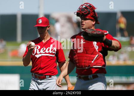 Mesoraco hits grand slam in Reds' win over Marlins