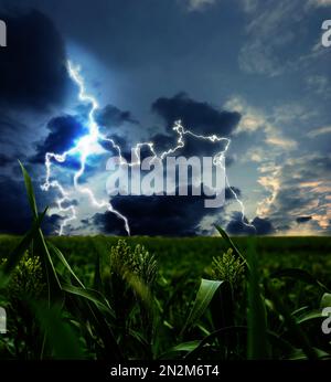 Picturesque thunderstorm over green field. Lightning striking from dark cloudy sky Stock Photo