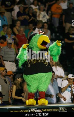 The Pittsburgh Pirates mascot the Pittsburgh Parrot is seen at a Pirates  baseball game at PNC Park, Pittsburgh, Pennsylvania Stock Photo - Alamy