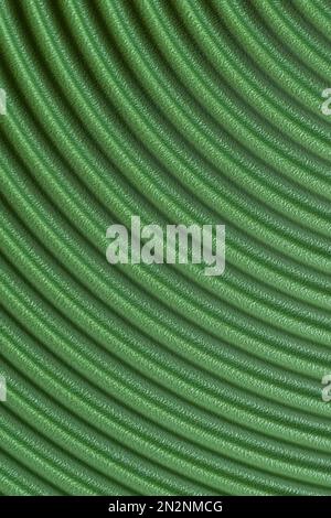 abstract curved different nuances of green color background Stock Photo