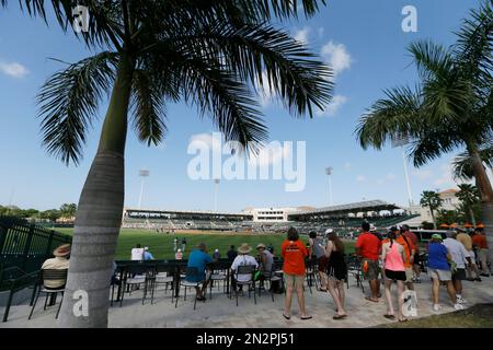 New York Yankees fans Jennifer Stanbrough, right, and Gina Baker, from  Rochester, N.Y., watch batting practice prior to the spring baseball game  between the New York Yankees and the Houston Astros Wednesday