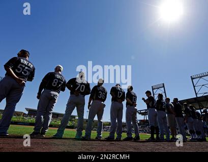 Members of the Colorado Rockies team stand at attention for the American  national anthem at a spring training major league baseball game at Salt  River Fields stadium in Scottsdale, Arizona - LOC's