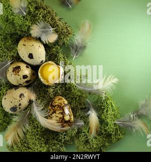 easter eggs and feathers Stock Photo