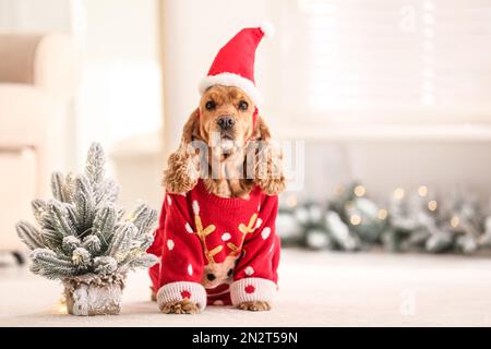 Cocker spaniel 2024 xmas jumper