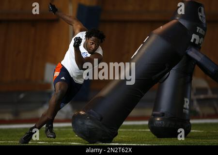 Takari Johnson, of Concordia University Ann Arbor, runs through drills  during an NFL Regional Combine on Saturday, March 7, 2015, in Lake Forest,  Ill. (AP Photo/Andrew A. Nelles Stock Photo - Alamy