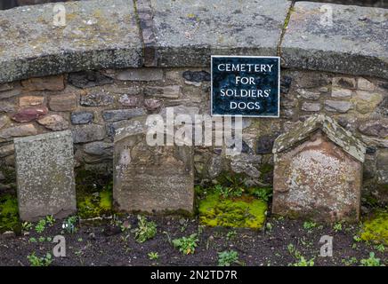 Small old worn gravestones in dog cemetery for soldiers at Edinburgh Castle, Edinburgh, Scotland, UK Stock Photo