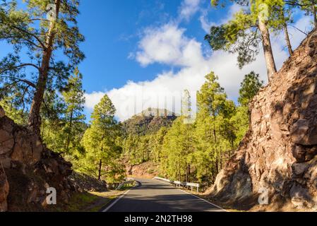 Straight road through Roque Nublo Rural Park, Tejeda, Gran Canaria, Canary Islands, Spain Stock Photo