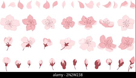 Sakura branch. Cherry blossom with falling petals of pink flowers ...