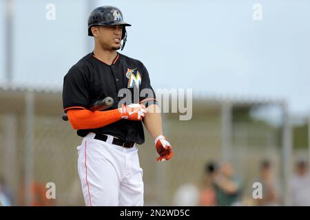 Marlins' Giancarlo Stanton beaned in head in practice