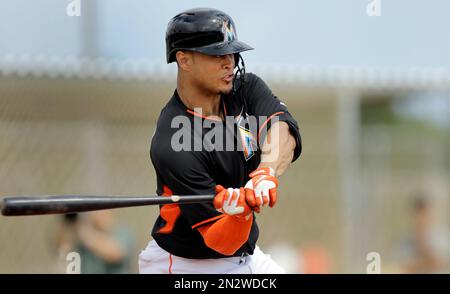 Marlins' Stanton shows off 'The Body' – Sun Sentinel