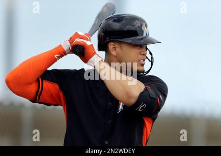 Portrait of Miami Marlins outfielder Giancarlo Stanton wearing