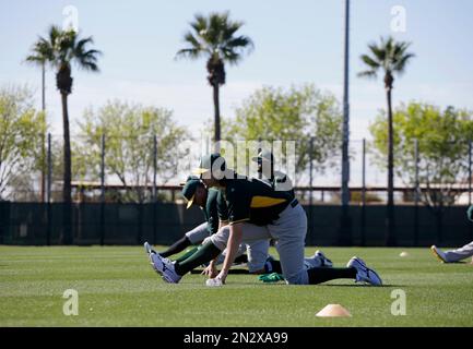 Oakland A's return with questions about outfield, bullpen, Barry Zito –  Santa Cruz Sentinel