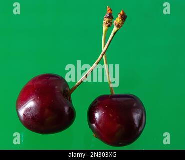 Ripe cherries on a solid background, healthy vegetarian food. Beautiful ...