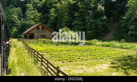 Vintage steam train chugging through the Carpathians Mountains in Maramures Romania. Stock Photo