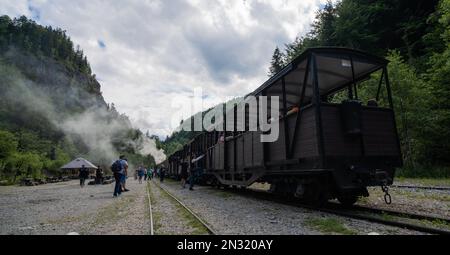 Vintage steam train chugging through the Carpathians Mountains in Maramures Romania. Stock Photo