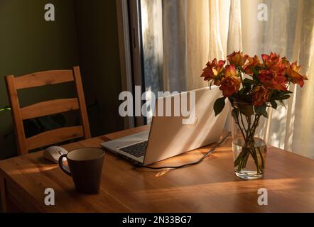 Paris, France - February 9, 2022: Simple candid workplace at home with HP laptop computer in sunset light. Remote working from home. Stock Photo