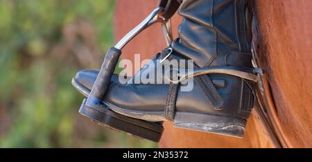 Foot of the athlete in a stirrup astride a horse, the foot of the rider, sitting on a horse, in a black boot with a spur, rests on a metal stirrup Stock Photo