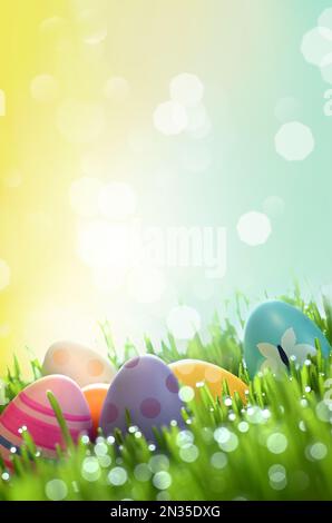 Row of Easter eggs in Fresh Green Grass. Stock Photo