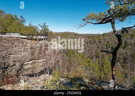 Looking across at the observation deck on a rock outcrop at Lilly bluff overlook trail with spectacular views of the river gorge of the Obed river in Stock Photo