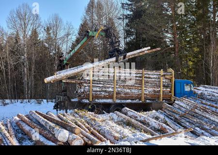 Hydraulic gripper holds logs while loading logging company self loading truck. Stock Photo