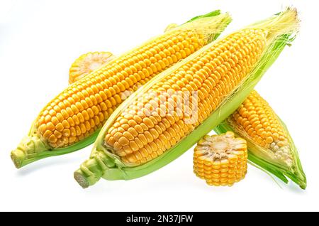 Maize cobs or corn cobs isolated on white background. Stock Photo