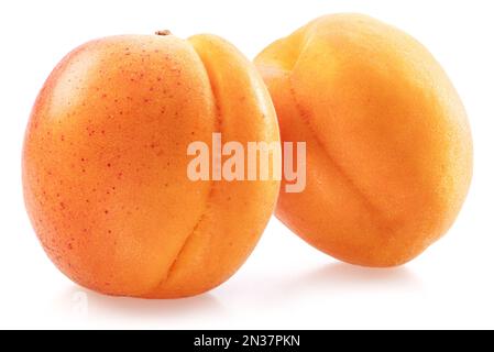 Two ripe apricots isolated on white background. Stock Photo