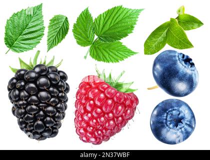 Set if raspberry, blueberry and blackberry with green leaves isolated on white background. Clipping path. Stock Photo