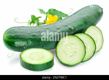Slicing cucumber with leaf and flower isolated on white background. Stock Photo